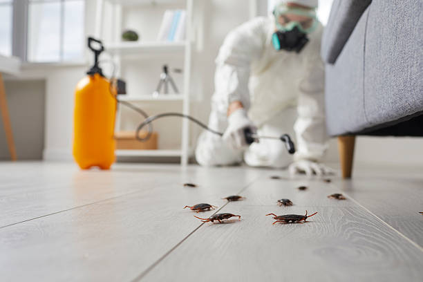 Post-Treatment Bed Bug Interceptor Monitoring in Draper