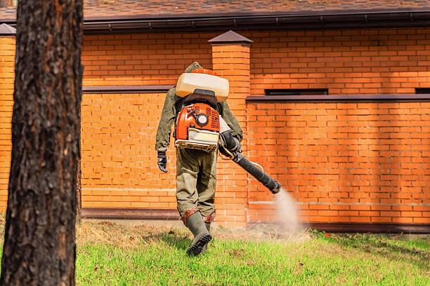 Bed Bug Clearance Verification and Documentation in Draper